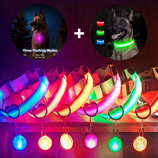 Usb Charging LED Glowing Dog Collar With Detachable Pendant